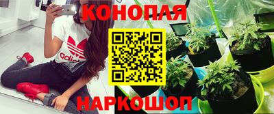 ешки Ставрополь