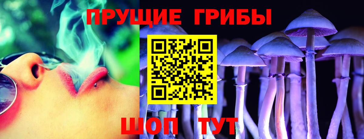 Галлюциногенные грибы Psilocybe Старая Купавна