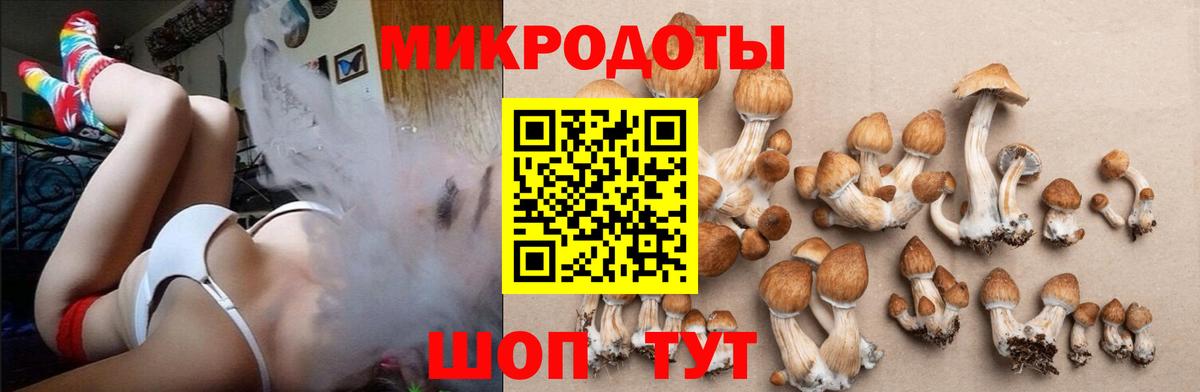 Галлюциногенные грибы Magic Shrooms  Вход с VPN  Старая Купавна  Псилоцибиновые грибы MAGIC MUSHROOMS 